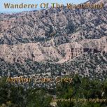 Wanderer of the Wasteland, Zane Grey