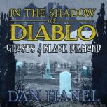 IN THE SHADOW OF DIABLO, Dan Hanel