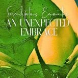 Serendipitous Encounter An Unexpecte..., Jil FabienMiro