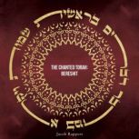 The Chanted Torah Bereshit, Jacob Rapport
