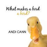 What Makes a Bird a Bird?, Andi Cann
