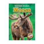 Moose, Kristin Schuetz
