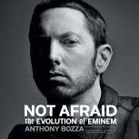 Not Afraid The Evolution of Eminem, Anthony Bozza