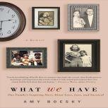What We Have, Amy Boesky