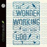 The Wonder-Working God Seeing the Glory of Jesus in His Miracles, Jared C. Wilson