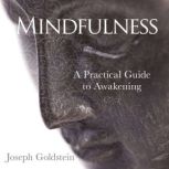 Mindfulness, Joseph Goldstein