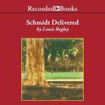 Schmidt Delivered, Louis Begley
