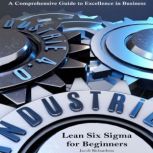 Lean Six Sigma for Beginners, Jacob Richardson