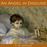 An Angel in Disguise, T. S. Arthur