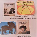 Little Lorrie Lincoln Goes to James a..., Lorrie O. Hewitt