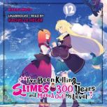 Ive Been Killing Slimes for 300 Year..., Kisetsu Morita
