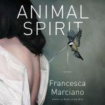 Animal Spirit Stories, Francesca Marciano