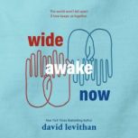 Wide Awake Now, David Levithan
