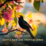 Gentle Rain and Tropical Birds, Greg Cetus