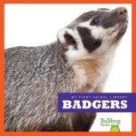 Badgers, Mari Schuh