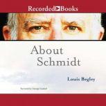 About Schmidt, Louis Begley