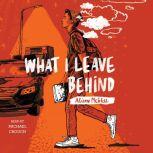 What I Leave Behind, Alison McGhee