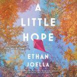 A Little Hope A Novel, Ethan Joella