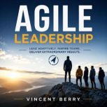 Agile Leadership, Vincent Berry