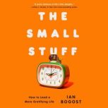 The Small Stuff, Ian Bogost