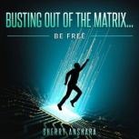 Busting Out of the Matrix, Sherry Anshara