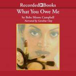 What You Owe Me, Bebe Moore Campbell