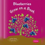 Blueberries Grow on a Bush, Mari Schuh