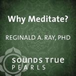 Why Meditate?, Reginald A. Ray, PhD