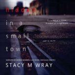 Hidden in a Small Town, Stacy M Wray