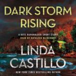 Dark Storm Rising, Linda Castillo