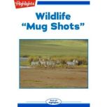 Wildlife Mug Shots, Lory Frame