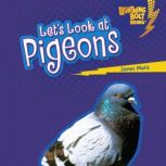 Lets Look at Pigeons, Janet Piehl
