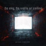 No sky, No walls or ceiling, Lucas Taylor
