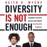 Diversity is Not Enough, Keith R. Wyche