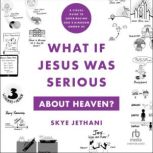 What If Jesus Was Serious About Heave..., Skye Jethani