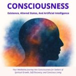 Consciousness, Petros Michaelides