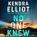 No One Knew, Kendra Elliot