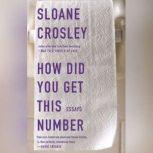 How Did You Get This Number, Sloane Crosley