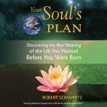 Your Soul's Plan Discovering the Real Meaning of the Life You Planned Before You Were Born, Robert Schwartz
