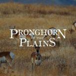 Pronghorn of the Plains, Enos A. Mills