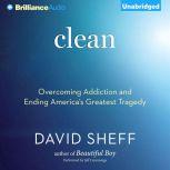 Clean Overcoming Addiction and Ending America’s Greatest Tragedy, David Sheff