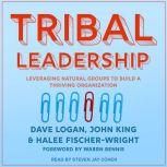 Tribal Leadership Leveraging Natural Groups to Build a Thriving Organization, Halee Fischer-Wright