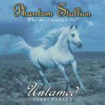 Phantom Stallion, Terri Farley