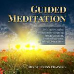 Guided Meditation 30 Minute Guided Meditation for Stopping Procrastination, Increasing Focus, & Ending Distractions, Mindfulness Training