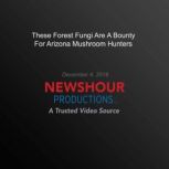 These Forest Fungi Are A Bounty For A..., PBS NewsHour