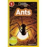 Ants, Melissa Stewart