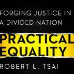 Practical Equality Forging Justice in a Divided Nation, Robert Tsai