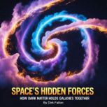 Spaces Hidden Forces, Dirk Fallon