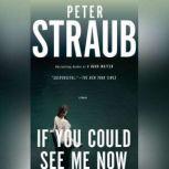 If You Could See Me Now, Peter Straub