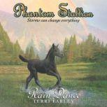 Phantom Stallion, Terri Farley